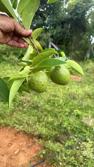  Plot – Exterior View View at Kelamangalam rd - for Sale