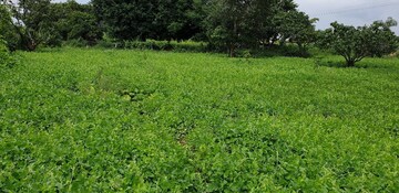  Plot For Sale in Kelamangalam rd