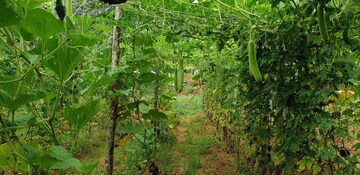  Plot – Exterior View View at Kelamangalam rd - for Sale