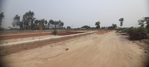 Plot Area in  Plot at Gosainganj – for Sale