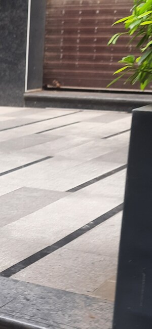  Showroom For Rent in Khar West