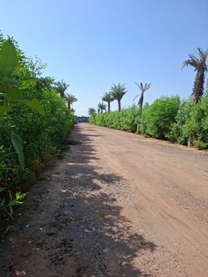 Plot Area in  Land at Pataudi – for Sale