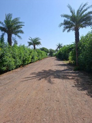 Plot Area in  Land at Pataudi – for Sale