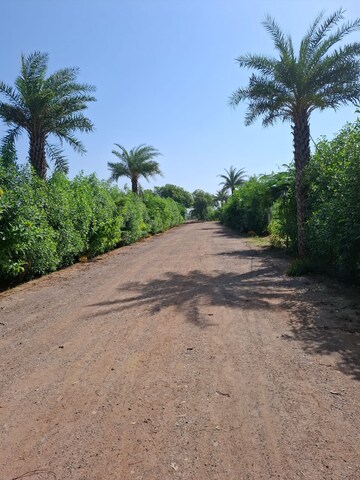 Plot Area in  Land at Pataudi – for Sale