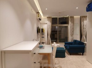 1 BHK Apartment For Rent in Hiranandani Solitaire Studio Apartment, Ghodbunder Road