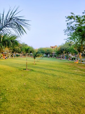 2 BHK Independent House – Garden View at Sector 14 - for Rent