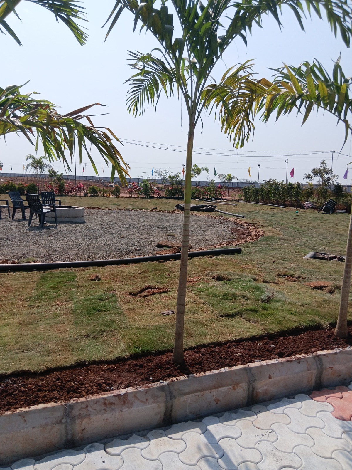 Plot For Sale in Fortune Butterfly City