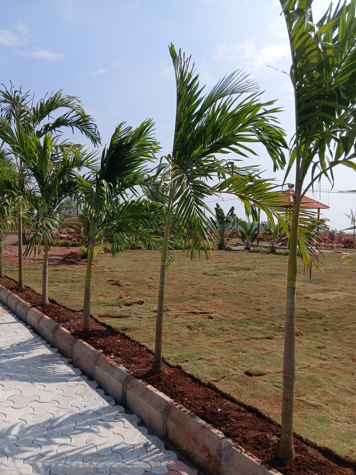 Plot For Sale in Fortune Butterfly City