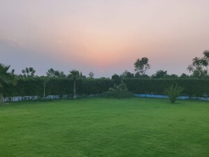 Plot Area in  Plot at Sawera Country Farms, Sector 150 – for Sale