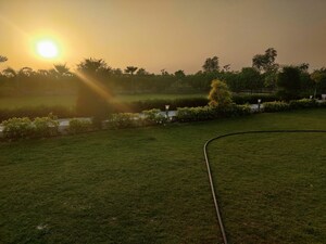 Plot Area in  Plot at Sawera Country Farms, Sector 150 – for Sale