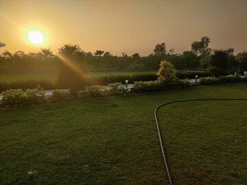 Plot Area in  Plot at Sawera Country Farms, Sector 150 – for Sale