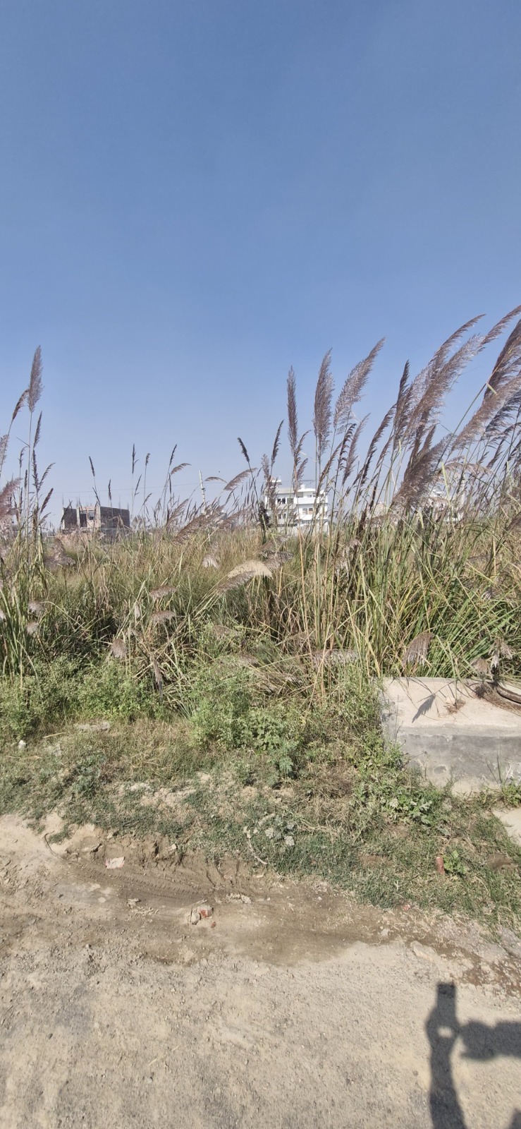 Plot For Sale in Sector-25