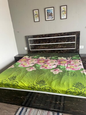 1 BHK Apartment For Rent in Paramount Golfforeste, Zeta I Greater Noida