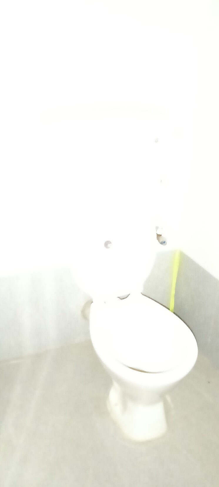 Bathroom, baishnabghata-patuli-township 2 Bedroom 800 Sq.Ft. Apartment In Patuli Kolkata 9555703