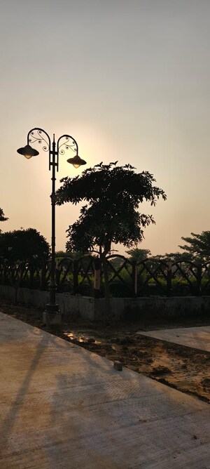  Plot – Exterior View View at Sujanpur - for Sale