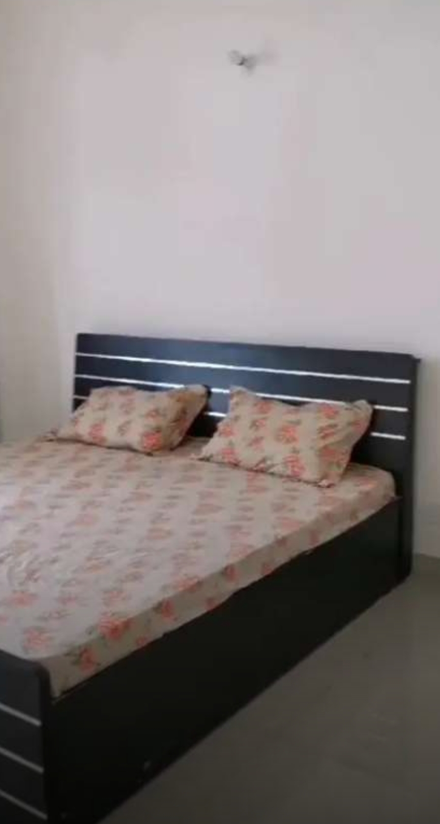 3 BHK + Pooja Room Apartment For Rent in Gomti Nagar