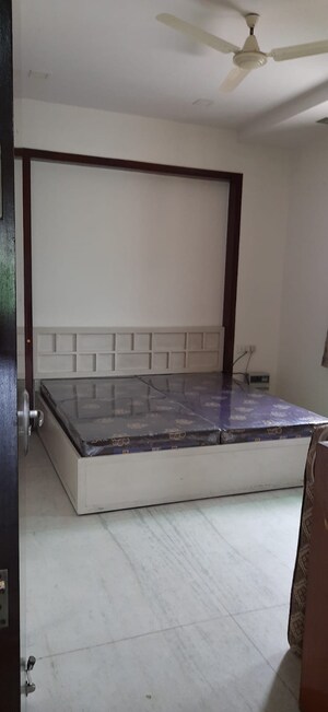  Pg For Rent in Old Rajinder Nagar