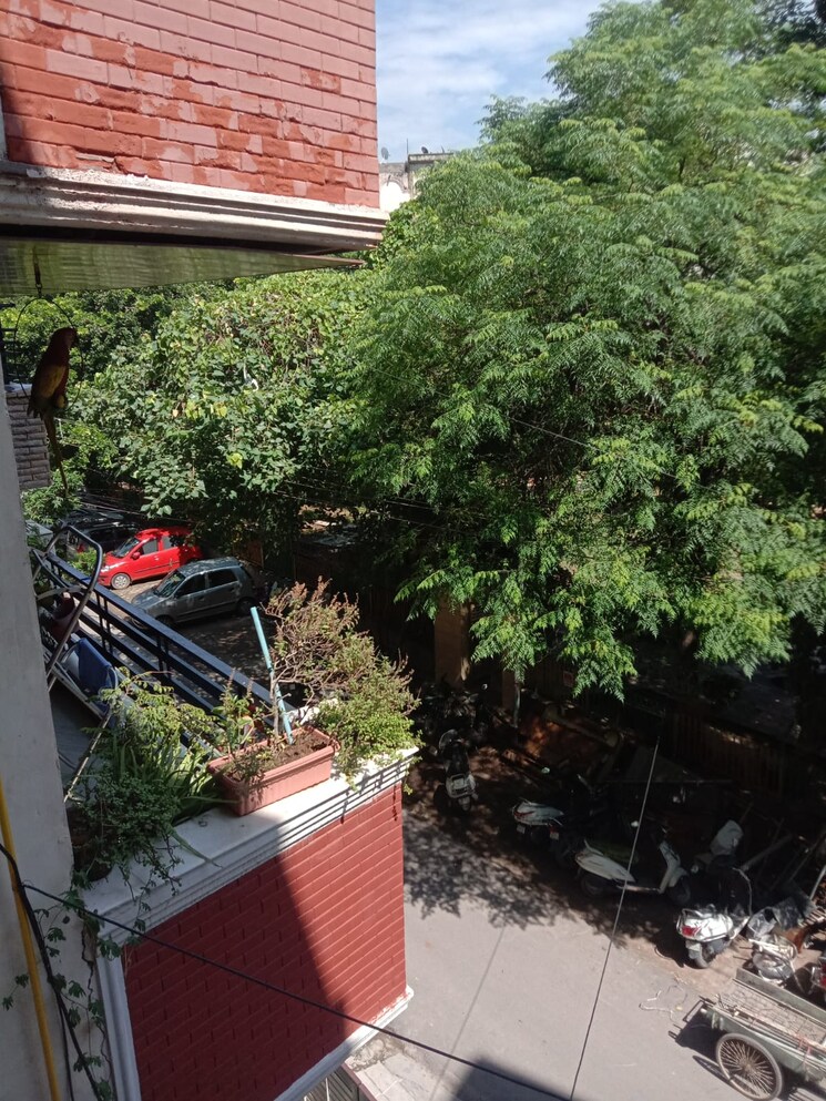 Garden, malviya nagar 2 Bedroom 1200 Sq.Ft. Builder Floor In Malviya Nagar Delhi 9556859