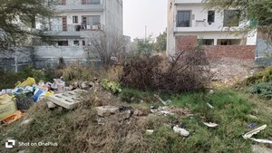 6+ BHK Independent House For Sale in Sector 80