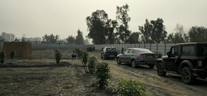 Plot Area in  Plot at Dhakiya – for Sale