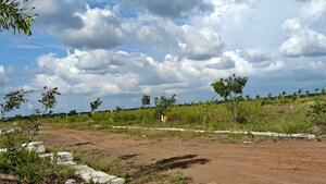  Plot For Sale in Neemsboro Manavooru, Pusalpahad
