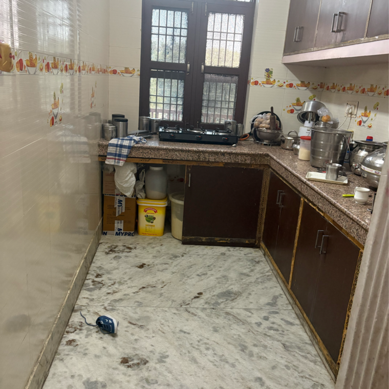 Kitchen, sector 9a 3 Bedroom 200 Sq.Ft. Villa In Sector 9a Bahadurgarh 9557479