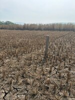 1089 Sq.Ft. Land in Juinagar