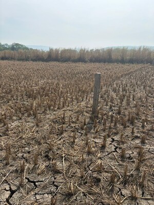  Land For Sale in Juinagar