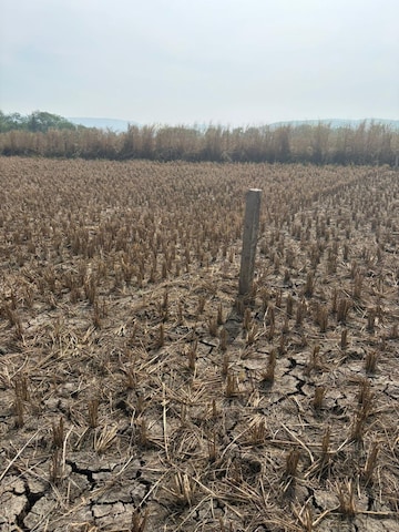  Land For Sale in Juinagar