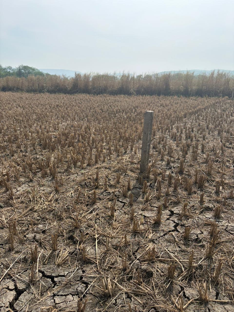 Land For Sale in Juinagar