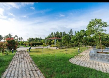  Plot – Exterior View View at VKS Palm Drive, Pataudi - for Sale