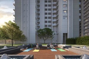 3 BHK Apartment For Sale in Patia