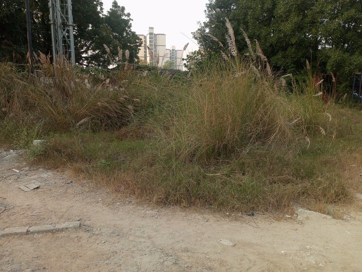 undefined, ansal-sushant-golf-city  775 Sq.Ft. Plot In Sushant Golf City Lucknow 9558135