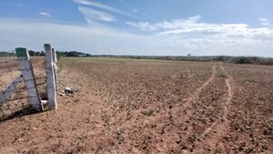 Plot Area in  Land at Appanaickenpatti – for Sale