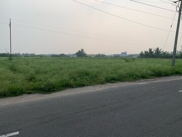  Land For Sale in Avinashi Road