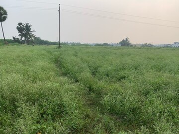Plot Area in  Land at Avinashi Road – for Sale