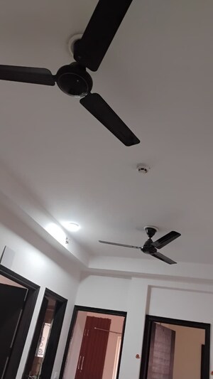 3 BHK Apartment For Rent in Ajnara Le Garden, Sector 16b Greater Noida