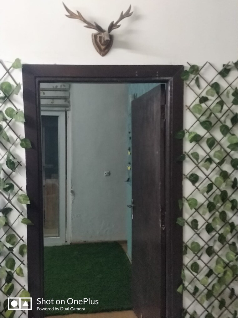 undefined, noida central 1 Bedroom 501 Sq.Ft. Apartment In Noida Central Noida 9558200