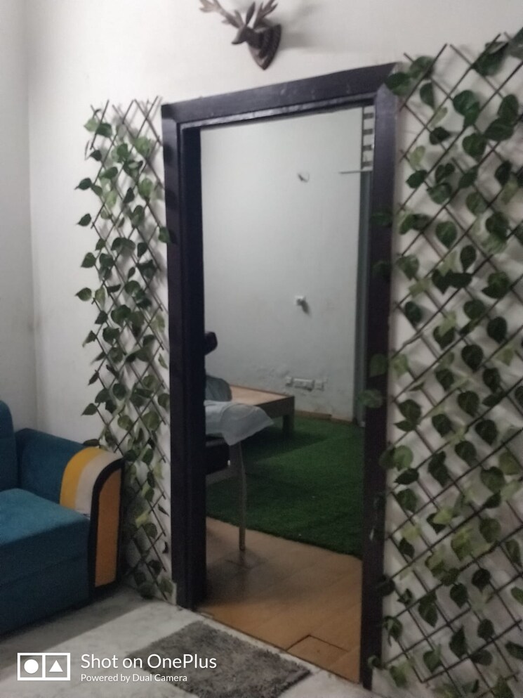 Living Room, noida central 1 Bedroom 501 Sq.Ft. Apartment In Noida Central Noida 9558200