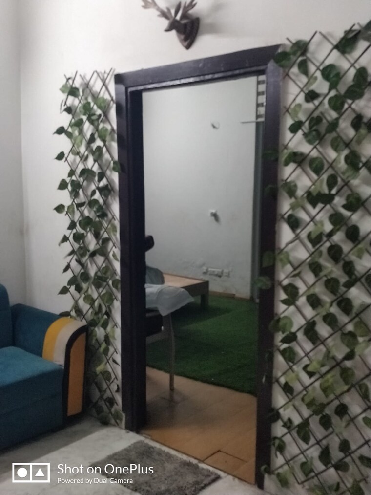 Living Room, noida central 1 Bedroom 501 Sq.Ft. Apartment In Noida Central Noida 9558200