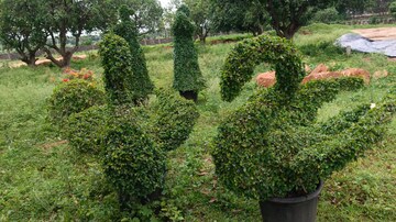  Plot – Exterior View View at Burgula Village - for Sale