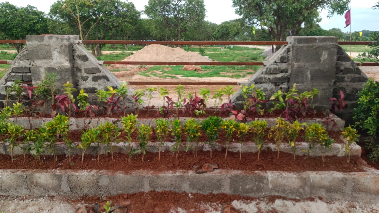 Plot For Sale in Amodha , Burgula 