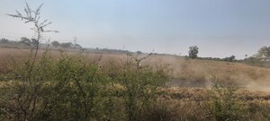 Plot Area in  Industrial Plot at Waghodia – for Sale