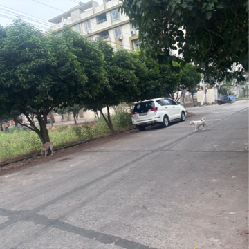  Plot – Exterior View View at Tadepalli - for Sale