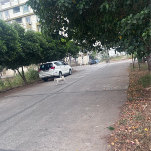  Plot – Exterior View View at Tadepalli - for Sale