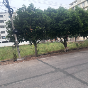  Plot – Exterior View View at Tadepalli - for Sale