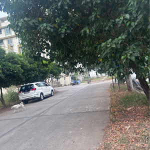  Plot – Exterior View View at Tadepalli - for Sale