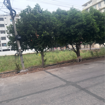  Plot – Exterior View View at Tadepalli - for Sale