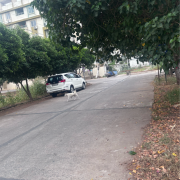  Plot – Exterior View View at Tadepalli - for Sale