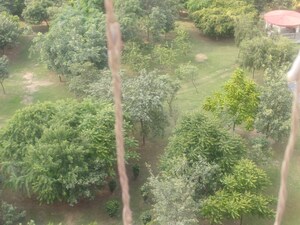  Plot – Garden View at Om Sai Enclave Chipiyana Buzurg, Chipiyana Buzurg - for Sale